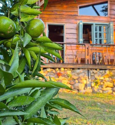 Sao Lourenco do Sul House | Sítio Espinilho