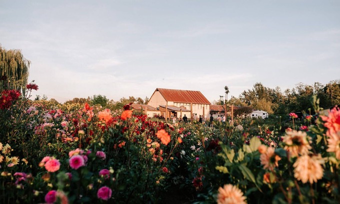 Langley Other | Sage and Solace Flower Farm; Carriage House; Close to wineries!