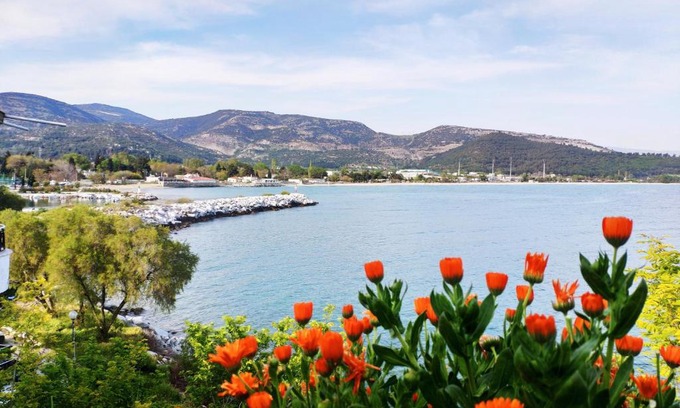 Kavala House | Sailor's Delight