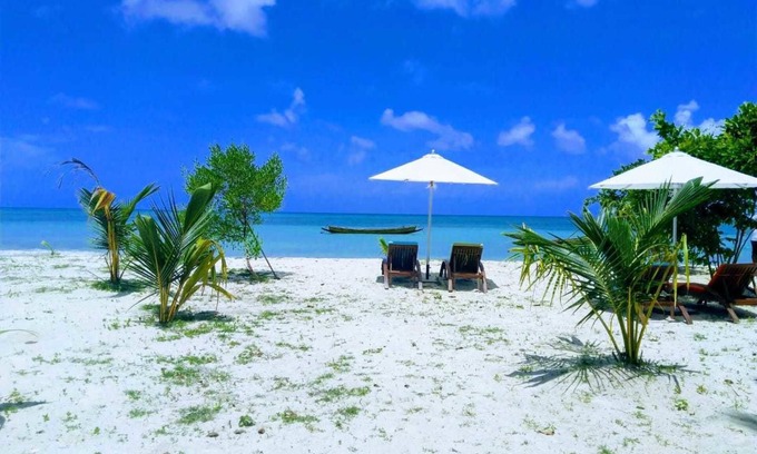 Havelock Island Hotel | Sandyy Wavess Beach Resort