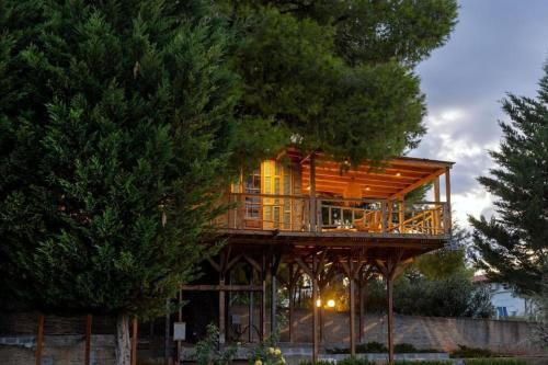 Sane House | Sani Tree House