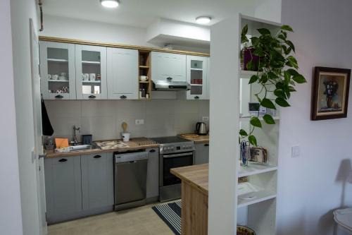 Pancevo Apartment | Sanja