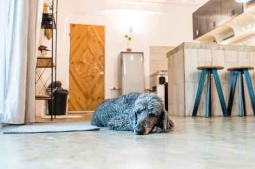 Morong Apartment | SAYA Nest Self-Service Home in Rainforest Nest with Kitchen - Monkeys, Bats, Pet Friendly with a Fee