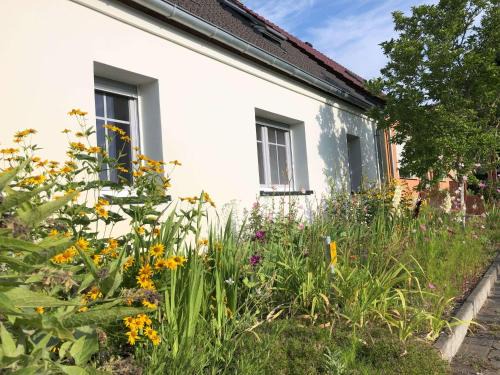 Braunsberg Apartment | Schäferstübchen - Urlaub auf dem Bauernhof