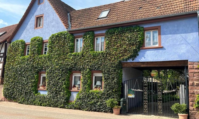 Silz Bed & Breakfast | Schönbachhof