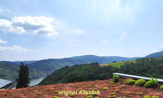 Mainz-Bingen Apartment | Schau-Rhein#2 - on Top of Bacharach, Rhineview