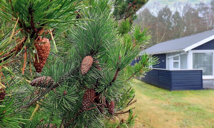 Hals House | Seaside Serenity in Hals-By Traum