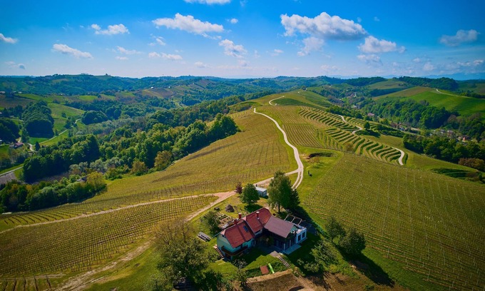 Ljutomer House | Secluded location with amazing 360° view, Holiday House Marijan with wine cellar