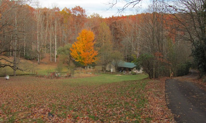Vesta Cottage | Secluded One Bedroom Cottage In Scenic Patrick County, VA
