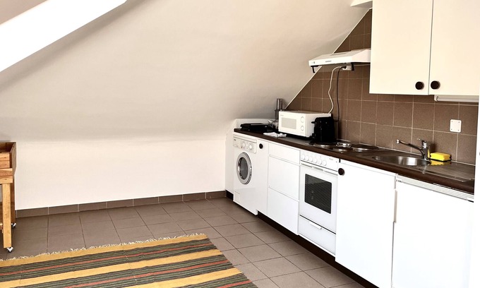 Jargonnant Apartment | Service Loft in Central Geneva