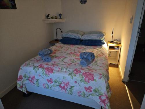 Heer Apartment | Sharon's Studio Blue