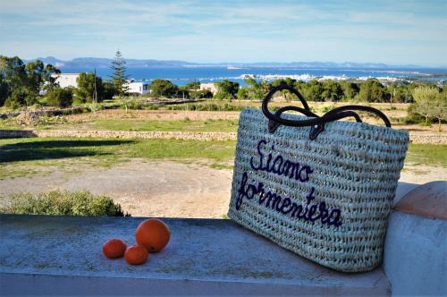 Formentera Apartment | Siamoformentera Valentina