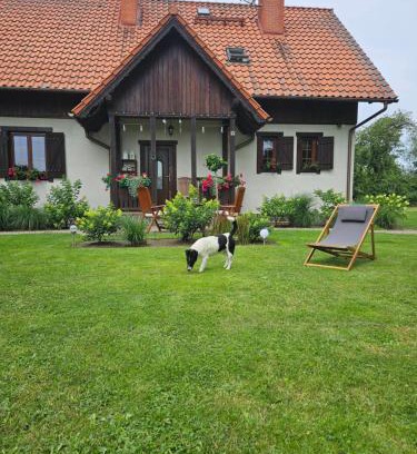 Nowy Dwor Gdanski Villa | Siedlisko w Starym Sadzie