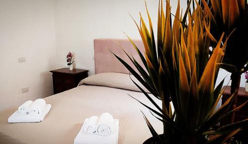 Twist Apartment | Sieve Flower
