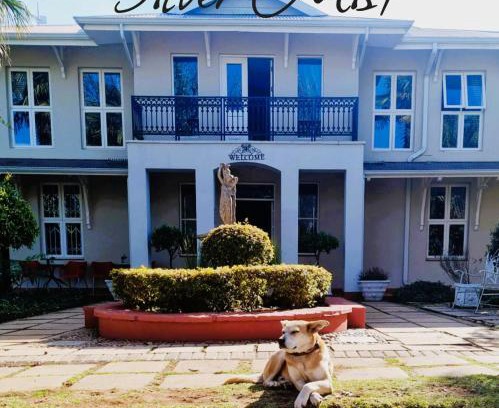 Kaapsehoop House | Silver Mist Guest House, Country Inn and Herberg