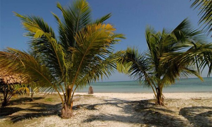 Havelock Island Hotel | SilverSand Beach Resort