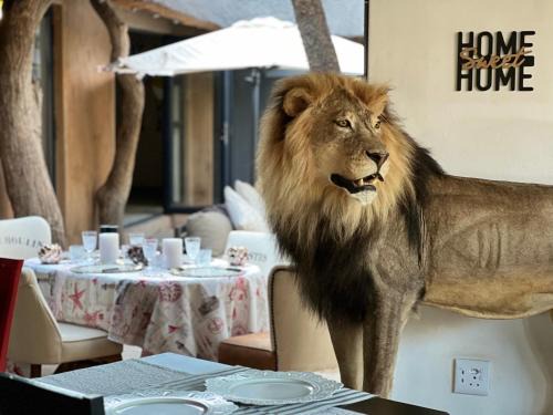 Lephalale Bed & Breakfast | Simba Safaris African Pride Exotic Lodge