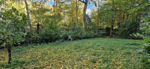 Kreuzberg Other | Simply GENIUS - Camping