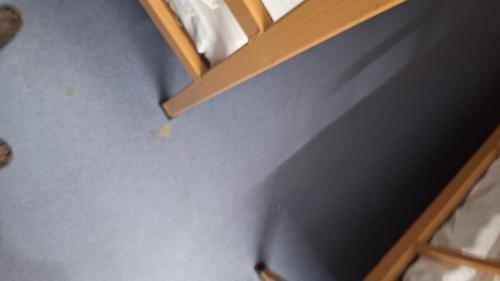 Varanasi Apartment | singh homestay