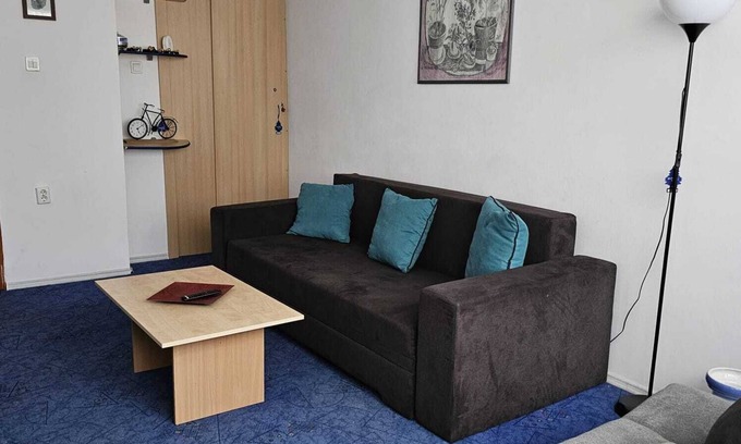 Azuga Apartment | Ski slope 3 bedrooms Apartment Azuga