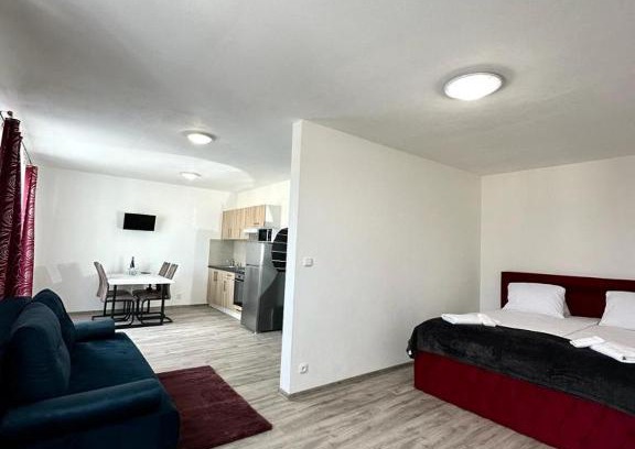 Plzen Apartment | Sky Apartments 501