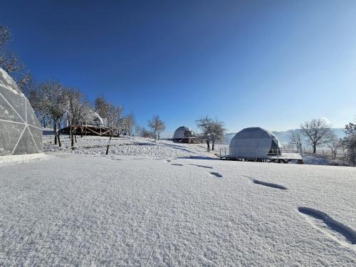 Copalnic-Manastur Other | SKY DOME