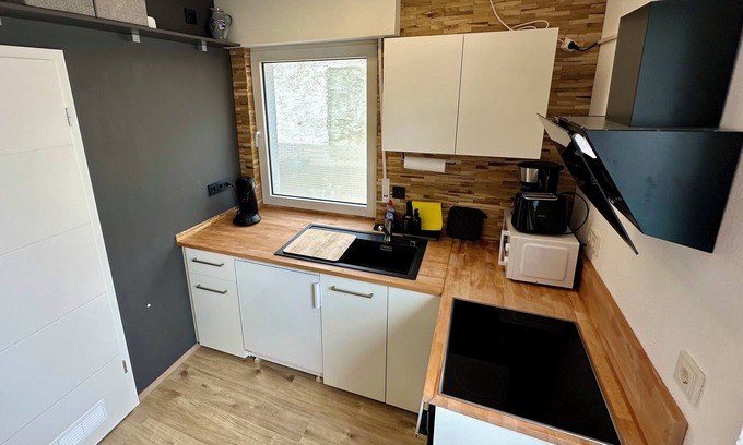Biebesheim am Rhein Apartment | Small, compact apartment, fully equipped with a workplace
