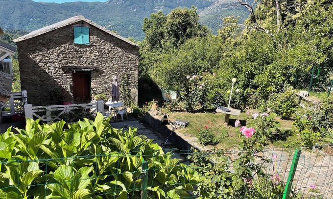 Felce House | Small house in the mountains in the heart of the chestnut grove in a village