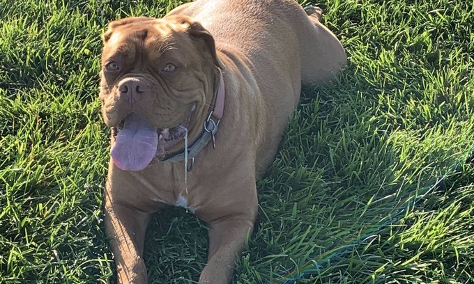 Vallejo House | Small room with private bath and separate entry. Close to public transportation