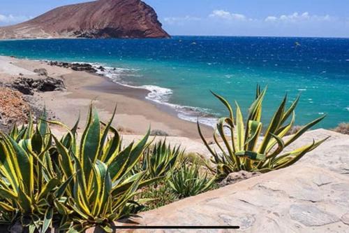 Granadilla de Abona House | Sol & Mar