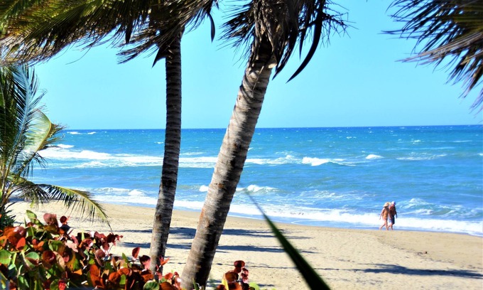 Cabarete Apartment | Sosua Bachelor Party 10 BR Beachfront Mini Resort FREE BONUS