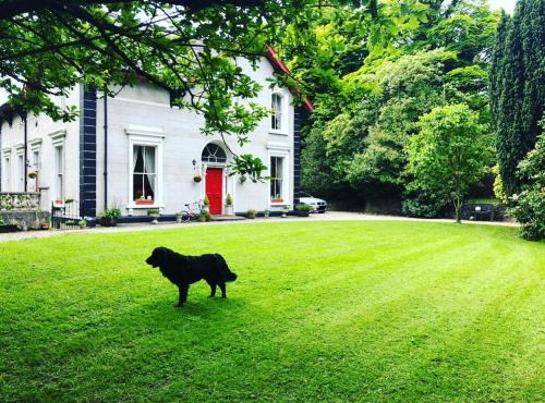 Londonderry Villa | Spacious 6 Bedroom Victorian Period Villa