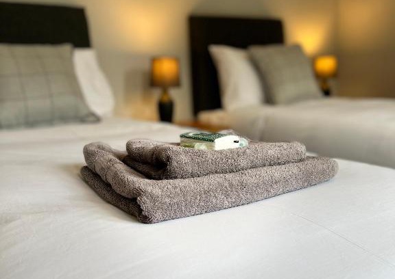 Bangor Apartment | Sparkling Space - Twin or King Beds