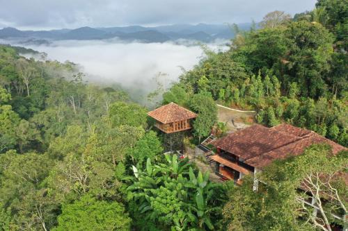 Pirmed House | Spice Forest Plantation Homestay, Thekkady