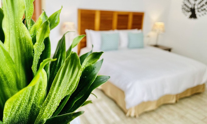 South Beach House | Spoondrift Hostal