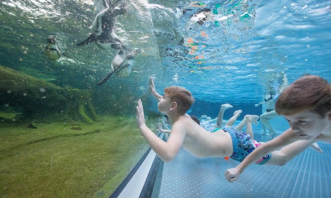 Lubbenau/Spreewald Hotel | Spreewelten Hotel