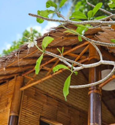 Ko Pha-ngan Resort | Srithanu Haus