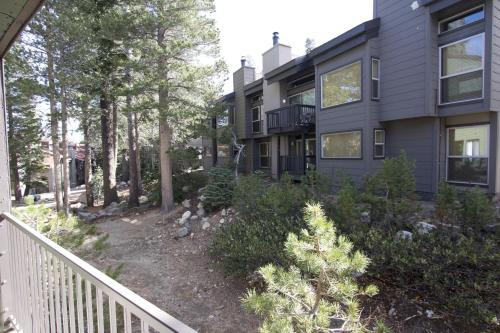 Mammoth Lakes Apartment | St Anton Wooded View 1-Bedroom Condos with Complimentary Hot Drinks