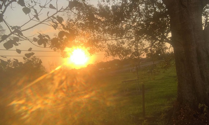 Bourg Cabin | "Stab'n Kab'n on the Bayou" - 4bd w/free boat launch access, Hunt Fish Explore!