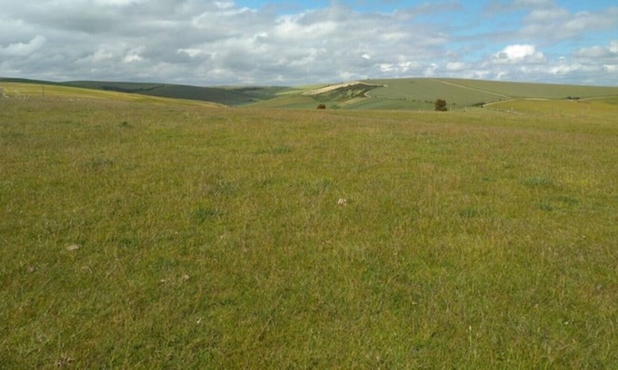 Rottingdean Cottage | Stag Cottage Rottingdean South Downs Great Walks