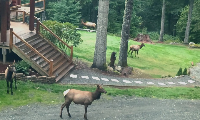 North Bend House | Stay at the Loft! Romantic, Quiet, Loads of Local Activities.