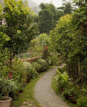 Naukuchiyatal Resort | Stay with Nature at Cottages at Village Naukuchiatal Nainital