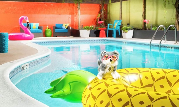University District Hotel | Staypineapple's Comfort Stay, Two Queen Beds, Pet-Welcoming, By University