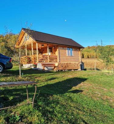 Feleacu Villa | Stefana's Tiny House Nature Retreat