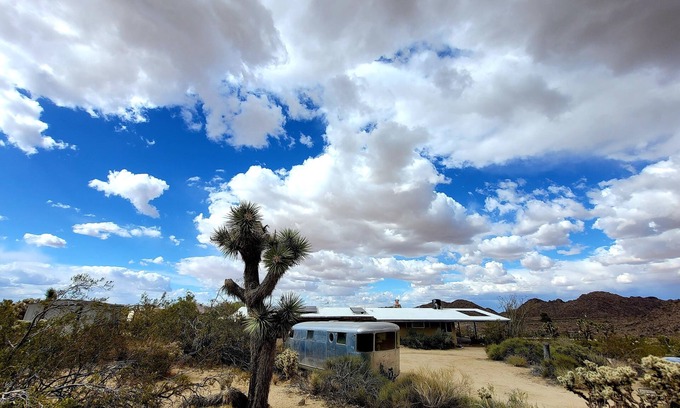 Joshua Tree Highlands House | Stephs Panorama Paradise:7.5 acres of wildlife viewing peace. Minutes from Park