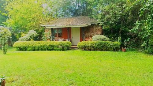 Nanyuki Ski Chalet | Steve's cottage-homely