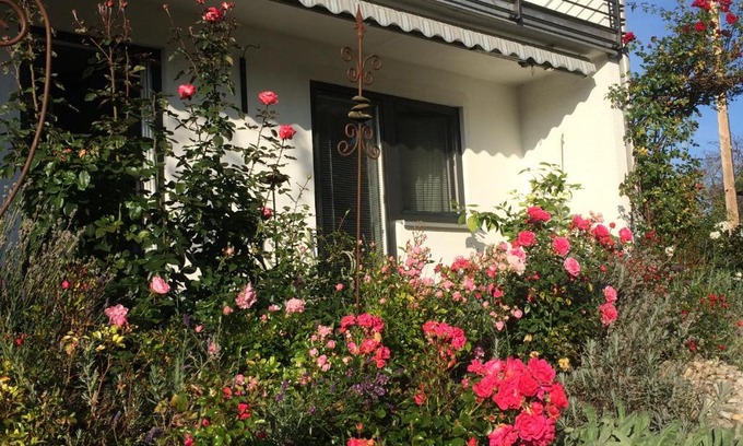 Rettenbach a.Auerberg Apartment | Stilvolles Studio im Allgäu