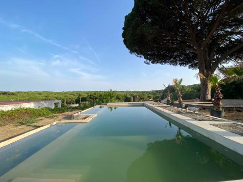 Brena y Marismas de Barbate Natural Park Other | Stone Pines Eco Glamping