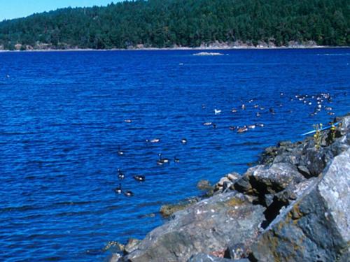 Regional District of Nanaimo House | Stop renting