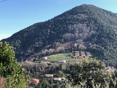 Vico Apartment | Strada di a cuma